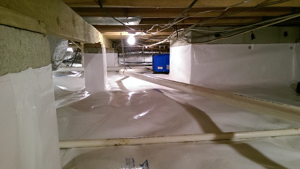 Crawl Space Repair, Project 2: Photo 16