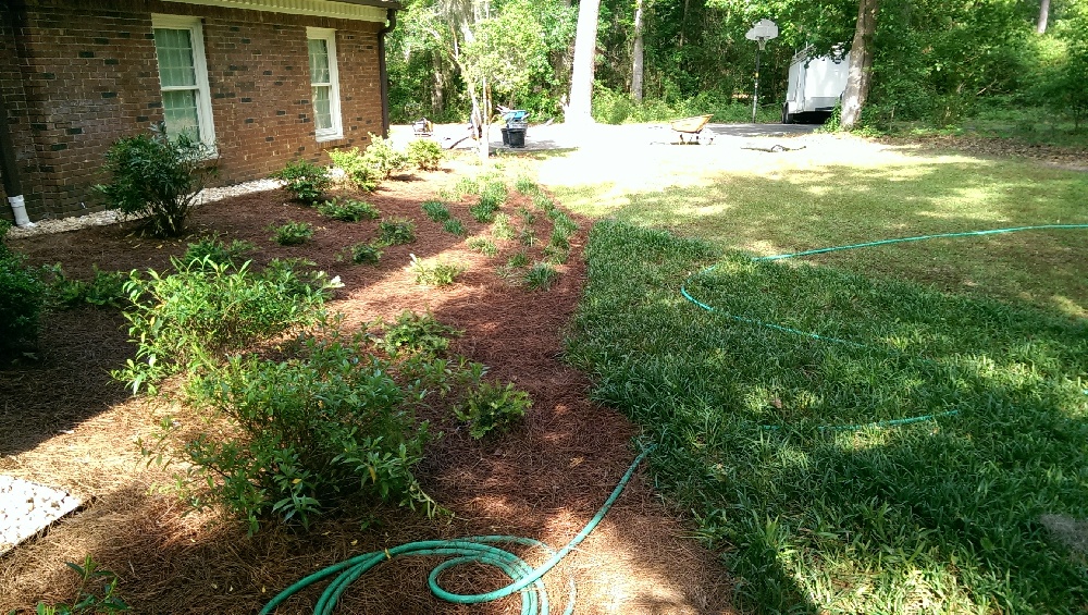 Crawl Space Repair, Project 2: Photo 12