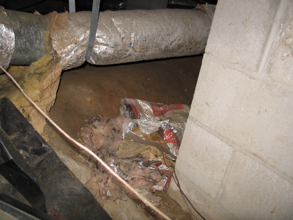 Crawl Space Repair, Project 2: Photo 2
