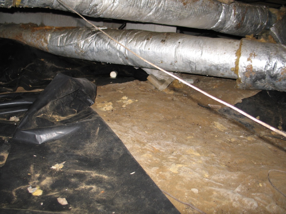 Crawl Space Repair, Project 2: Photo 1