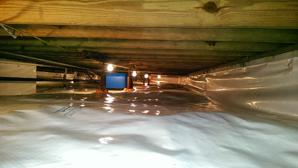 Crawl Space Repair, Project 3: Photo 13