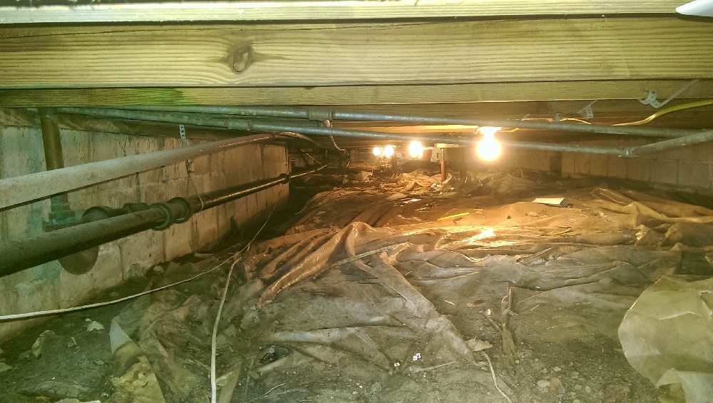 Crawl Space Repair, Project 3: Photo 4