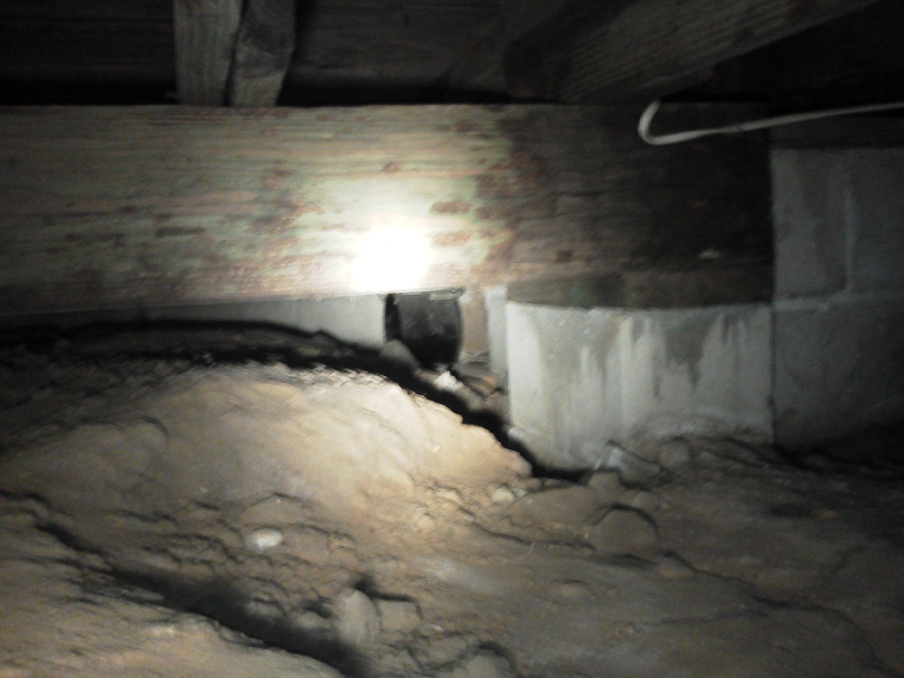 Crawl Space Repair, Project 3: Photo 3