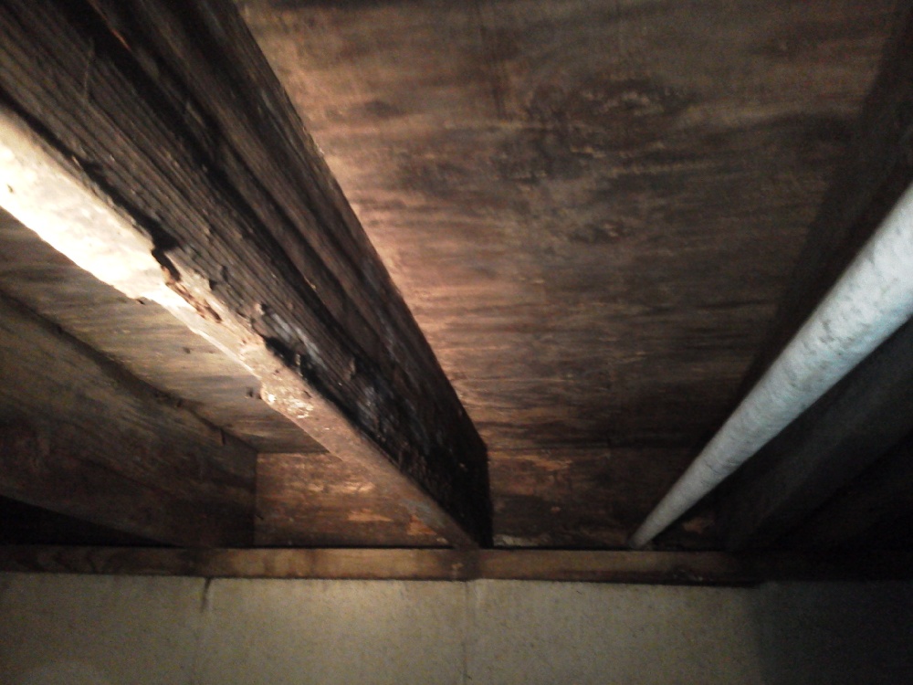 Crawl Space Repair, Project 3: Photo 2