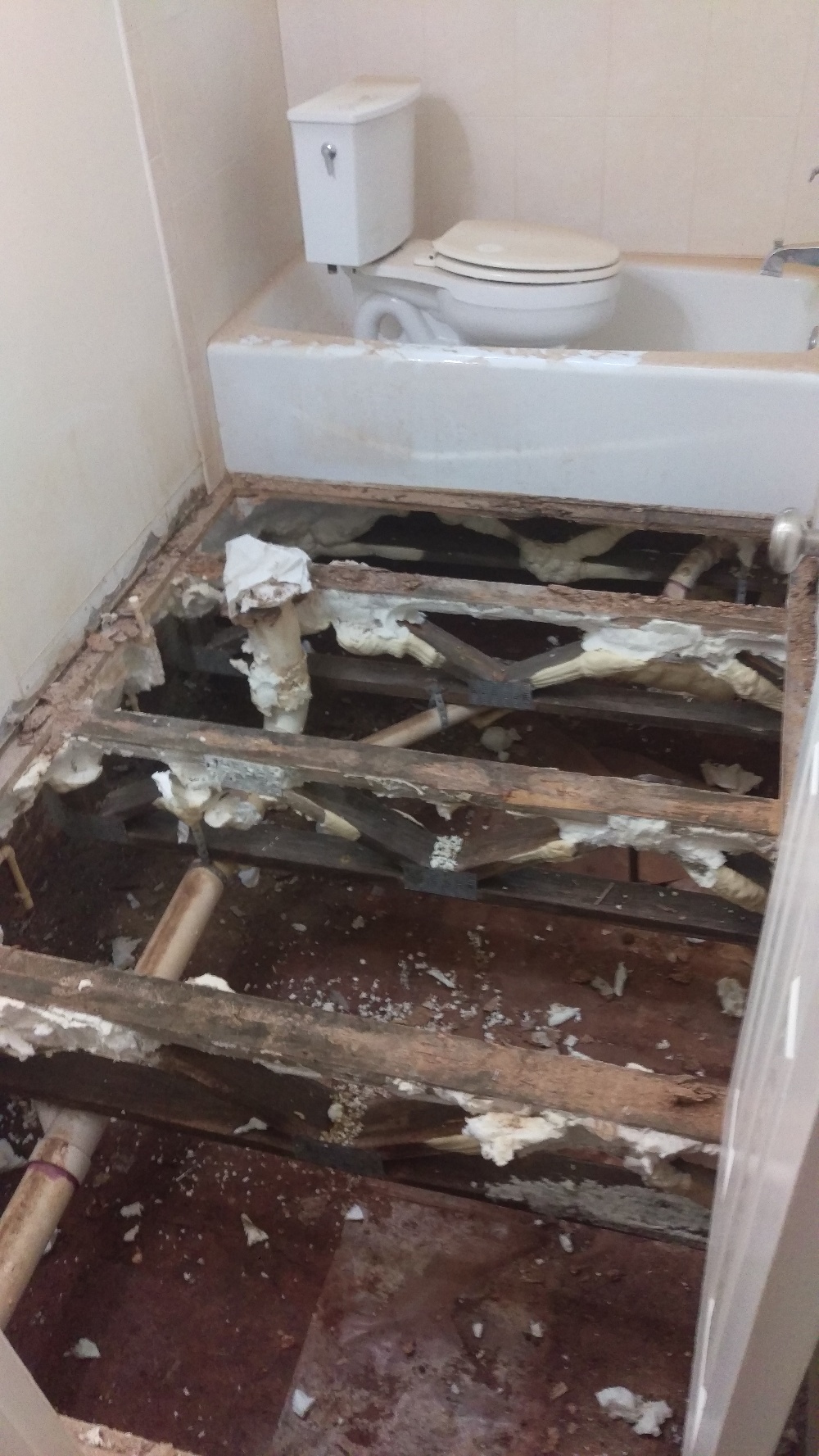 Crawl Space Repair, Project 1: Photo 9