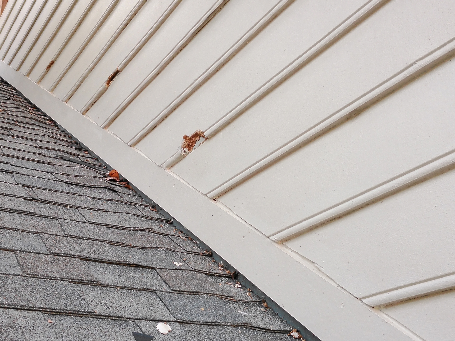 Gable Repairs Photo 8