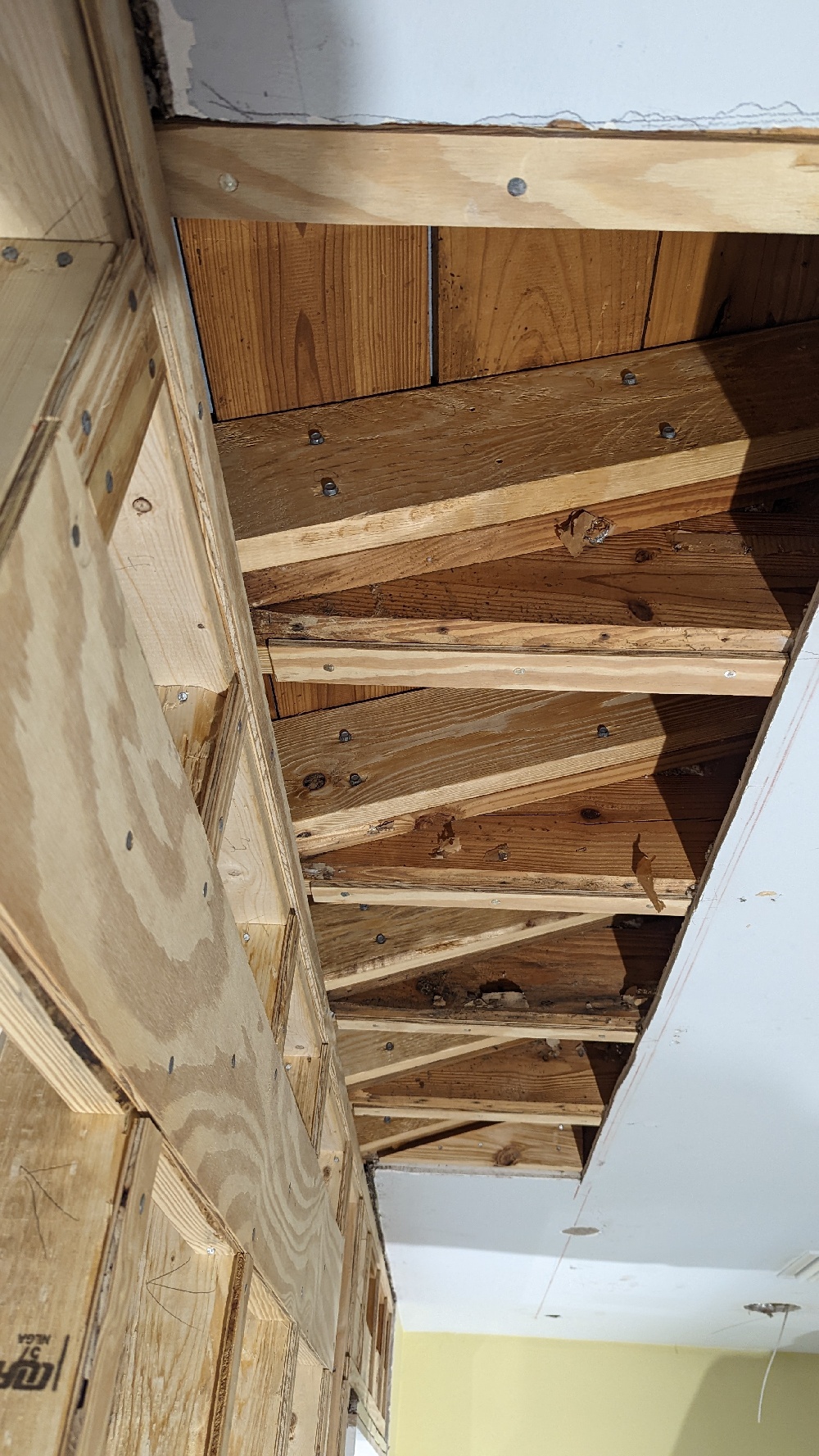 Rotted Wood Repair Photo 5