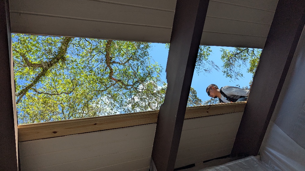 Termite Damage Repair Photo 9