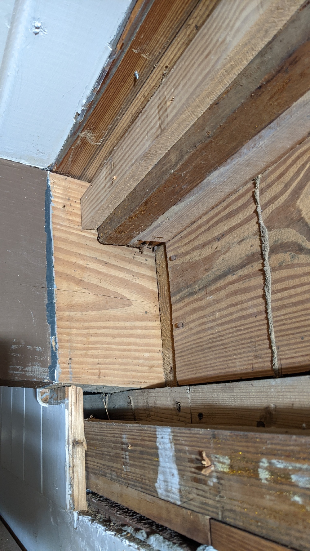 Termite Damage Repair Photo 8