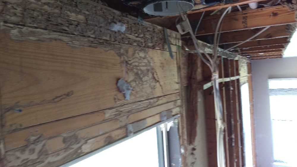 Termite Damage Repair Photo 2